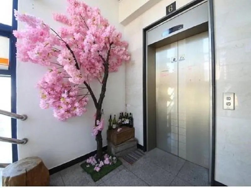 Halla Guest House Jeju Hostel